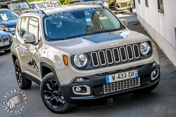 Jeep renegade desert 01